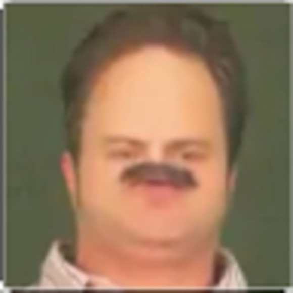 Meet your Posher, Savannah - Picture 1 of 1